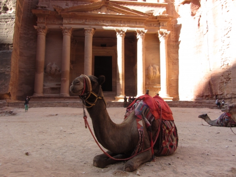Petra Petra