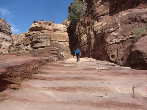 Petra Petra