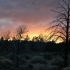 Sonnenuntergang am Grand Canyon Sonnenuntergang am Grand Canyon