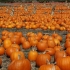 Helloween Helloween