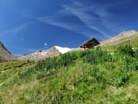Vent zur Martin-Busch Hütte Vent zur Martin-Busch Hütte