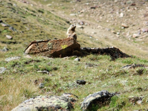 zur Similaunhütte zur Similaunhütte