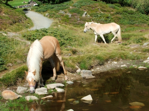 zur Breslauer Hütte zur Breslauer Hütte
