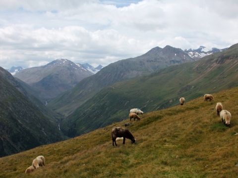 zur Breslauer Hütte zur Breslauer Hütte