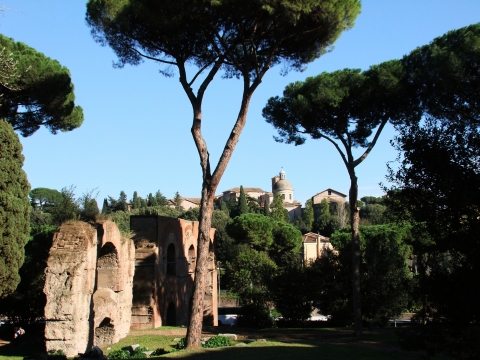 Rome Rome