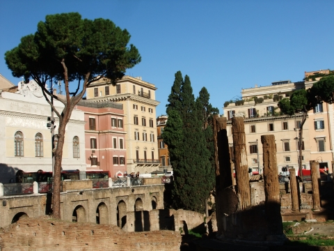 Rome Rome