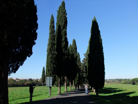 Rome Rome