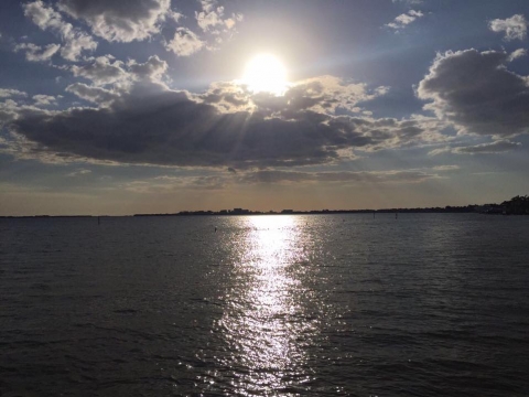 Cape Coral Cape Coral