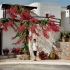 In Agios Nikolaos In Agios Nikolaos