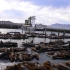 Frisco - Fishermans Wharf Frisco - Fishermans Wharf