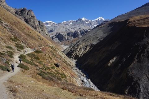 Manang Manang
