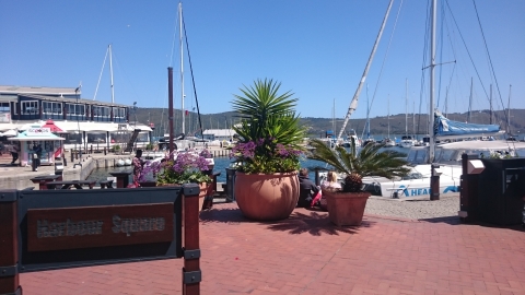 Knysna - Knysna- Waterfront Knysna - Knysna- Waterfront