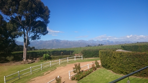Stellenbosch - Vinelands- Marianne Stellenbosch - Vinelands- Marianne