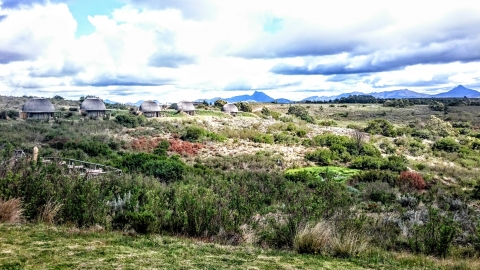 Mossel Bay - Buschland Mossel Bay - Buschland