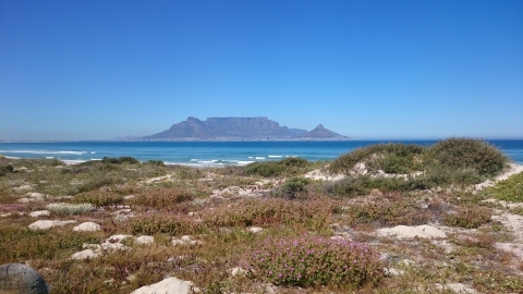 Cape Town - Blick vom Bloubergstrand Cape Town - Blick vom Bloubergstrand
