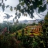 Botanischer Garten Botanischer Garten