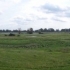 Oderbruch Oderbruch