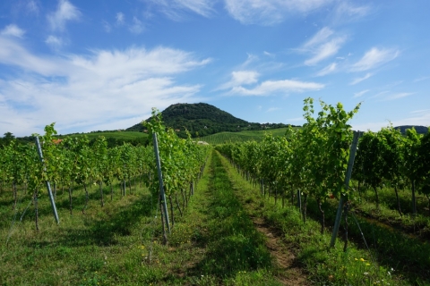 Balaton Balaton