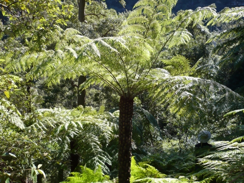 Blue Mountains Blue Mountains