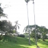 Botanischer Garten Entebbe Botanischer Garten Entebbe