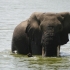 Queen Elisabeth Nationalpark