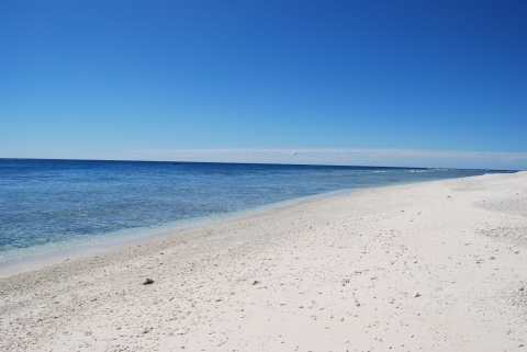 Lady Elliot Island Lady Elliot Island