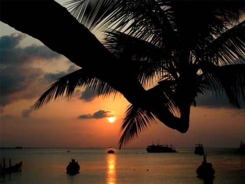 Ko Tao - Ko Tao Ko Tao - Ko Tao