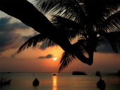 Ko Tao