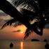 Ko Tao Ko Tao