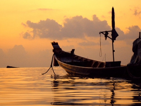 Ko Tao - Ko Tao Ko Tao - Ko Tao