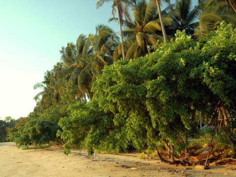 Ko Yao Noi - Beach Ko Yao Noi Ko Yao Noi - Beach Ko Yao Noi
