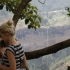 Sipi Falls Sipi Falls