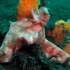 Schnecke Schnecke