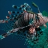 Lion Fish Lion Fish