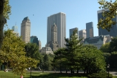 Central Park