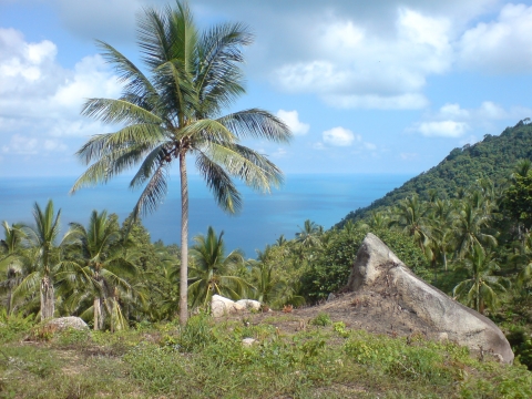 Koh Phangan - Aussicht