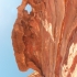 Petra