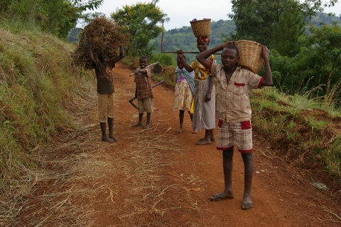 Kisoro