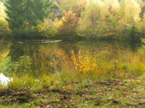 Obermoschel - Radtour durch die Vogesen und den Pfälzer Wald Obermoschel - Radtour durch die Vogesen und den Pfälzer Wald