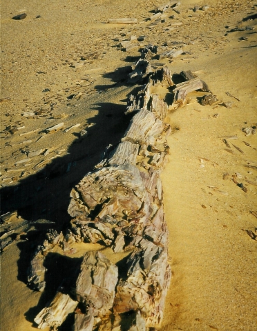 Kufra - Durch die Rebiana Sandsee nach El Kufra Kufra - Durch die Rebiana Sandsee nach El Kufra
