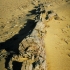 Durch die Rebiana Sandsee nach El Kufra Durch die Rebiana Sandsee nach El Kufra
