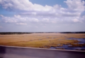 "Everglades"