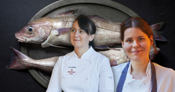 Squid game: The chefs and suppliers making seafood ‘cool again’