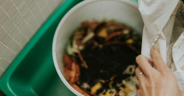 Food waste separation becomes law in NSW on 1 July