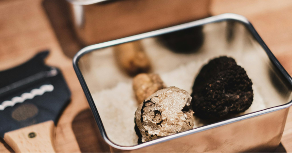 The truffle window is shrinking. What that means for winter menus