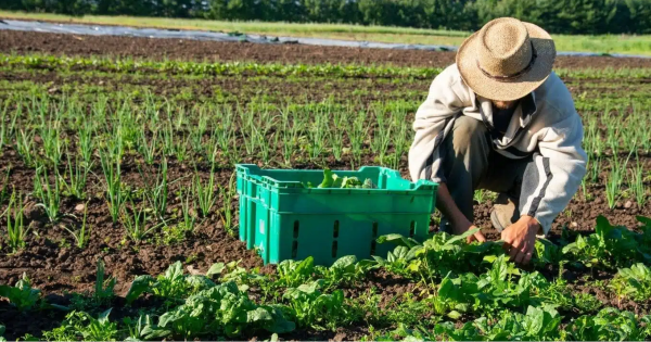 Traceability and the New Rules of Hospitality in Australia