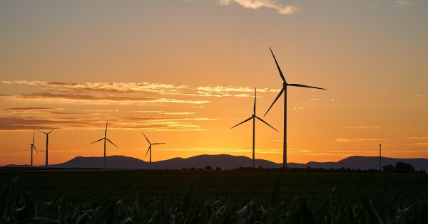  Sustainability in Australian kitchens: A chef’s guide