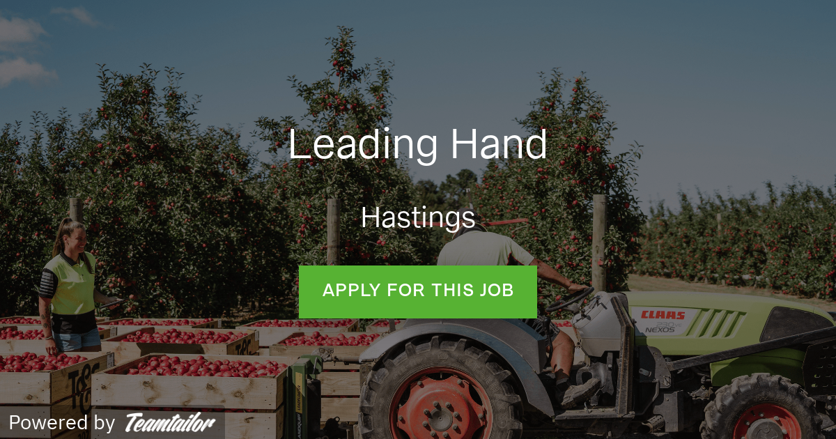 Leading Hand T&G Global