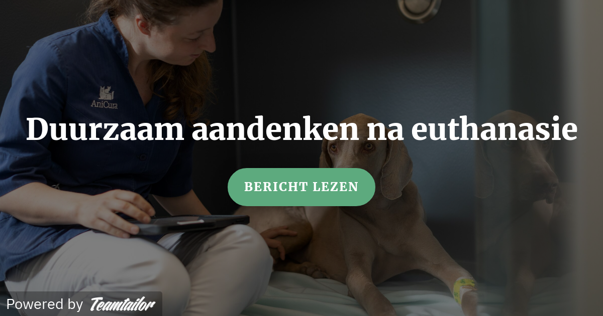 Duurzaam aandenken na euthanasie Posts AniCura Nederland Duurzaam aandenken na euthanasie Posts AniCura Nederland