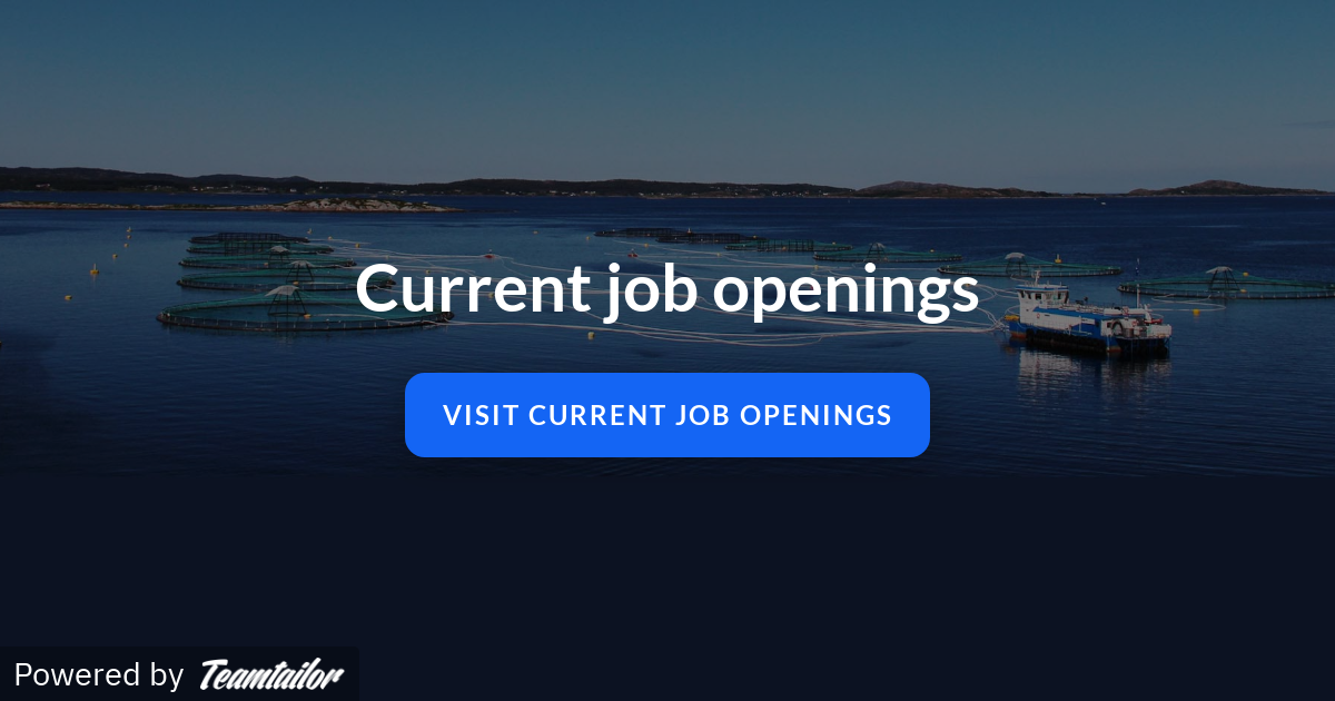 Current job openings Optimeering Aqua